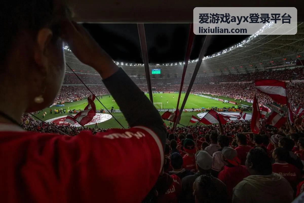 爱游戏ayx登录平台密码修改与找回入口