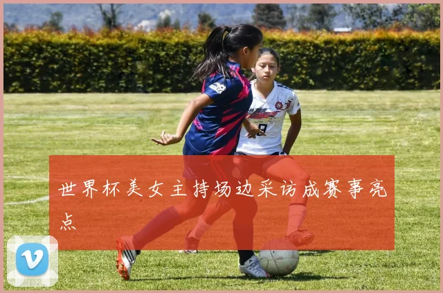 世界杯美女主持场边采访成赛事亮点