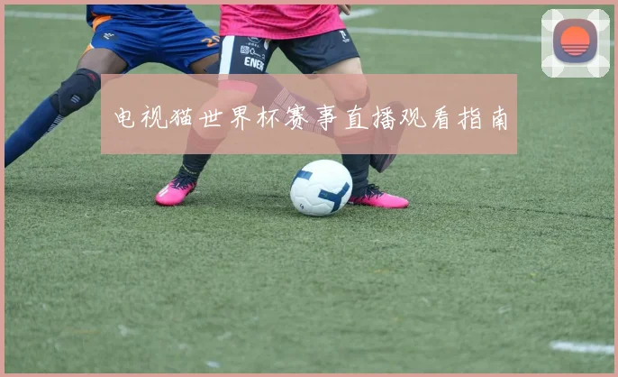 电视猫世界杯赛事直播观看指南