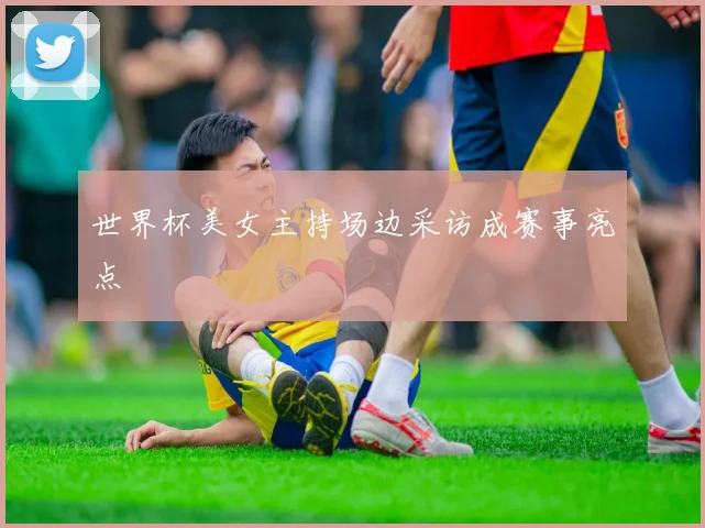 世界杯美女主持场边采访成赛事亮点