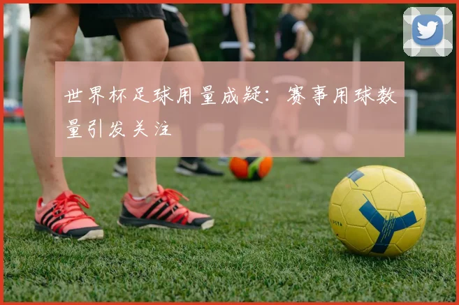 世界杯足球用量成疑：赛事用球数量引发关注