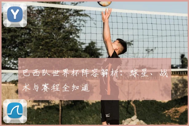巴西队世界杯阵容解析：球星、战术与赛程全知道
