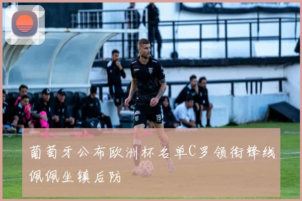 葡萄牙公布欧洲杯名单C罗领衔锋线佩佩坐镇后防