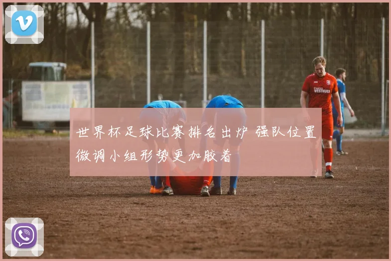 世界杯足球比赛排名出炉 强队位置微调小组形势更加胶着